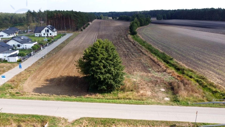 Działka rolna Zarośle Cienkie