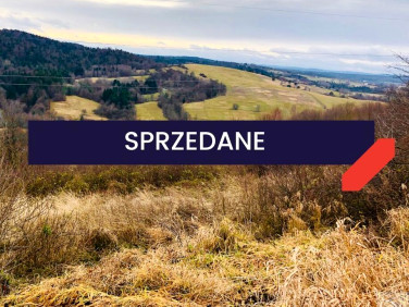 Działka rolna Korzeniec