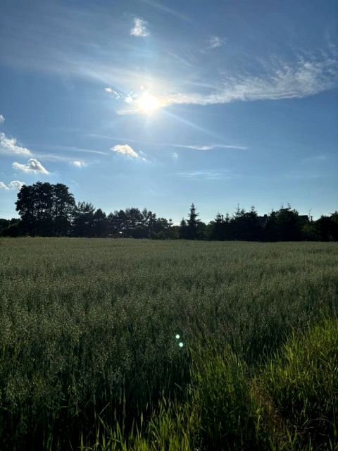 Działka budowlana sprzedam