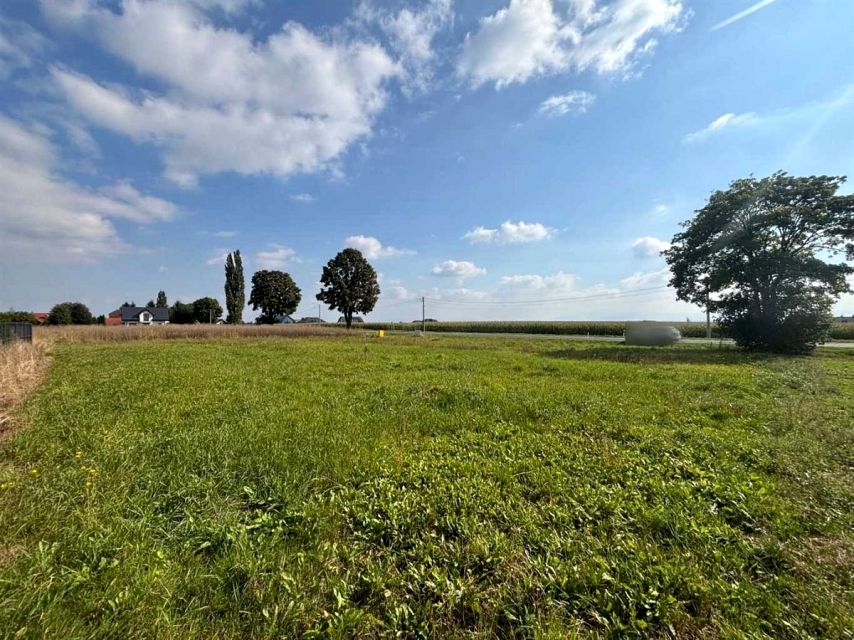 Działka Wisła Wielka