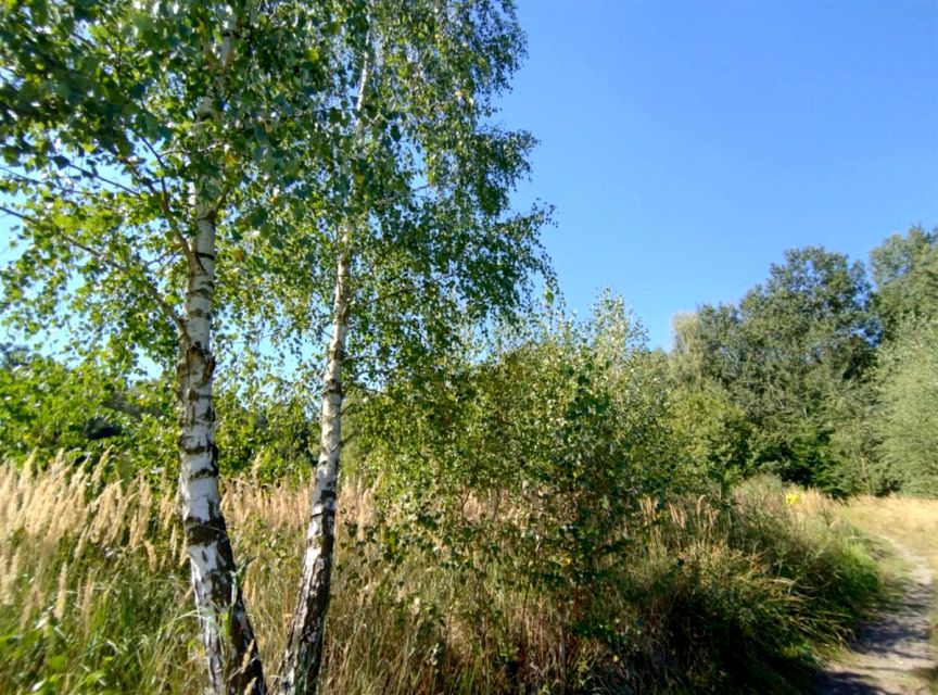 Działka leśna Rybnik sprzedam