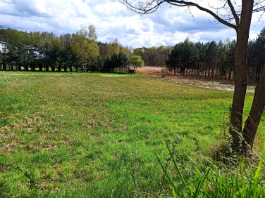 Działka budowlana Świerklany sprzedam