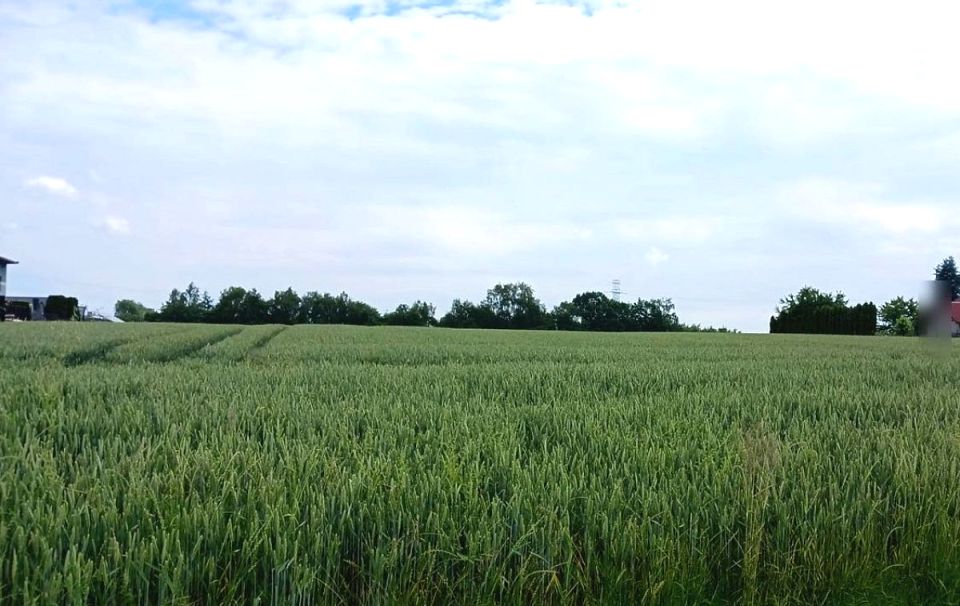 Działka budowlano-rolna Świerklany sprzedam
