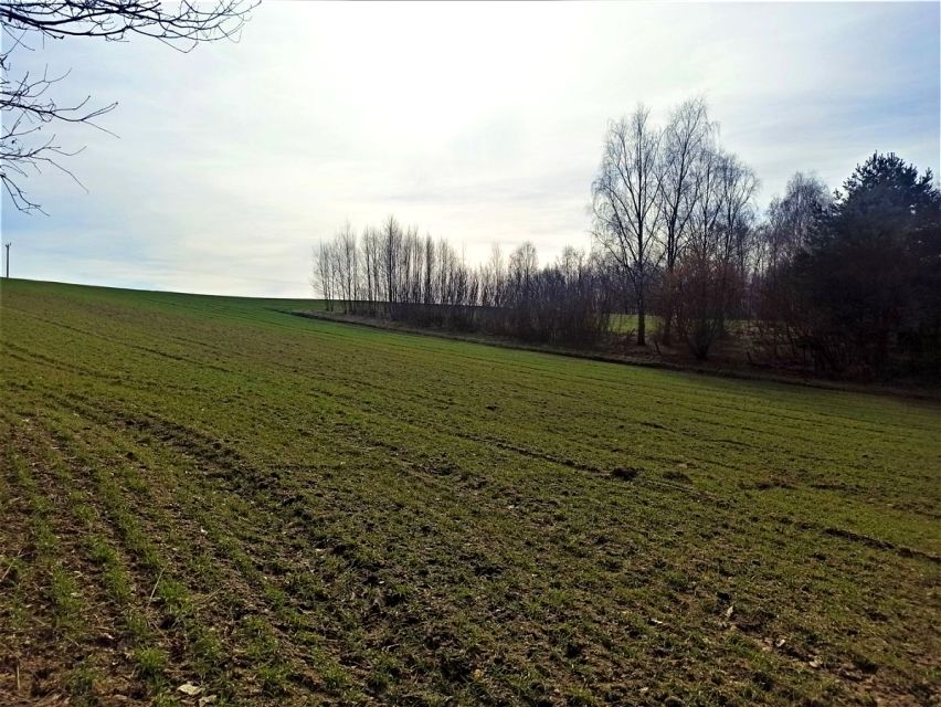 Działka budowlana Jankowice sprzedam