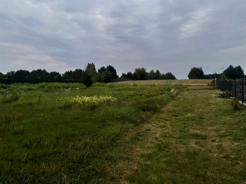 Działka Wodzisław Śląski