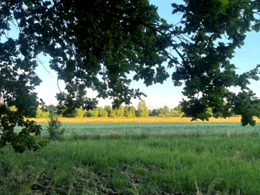 Działka Ochaby Wielkie