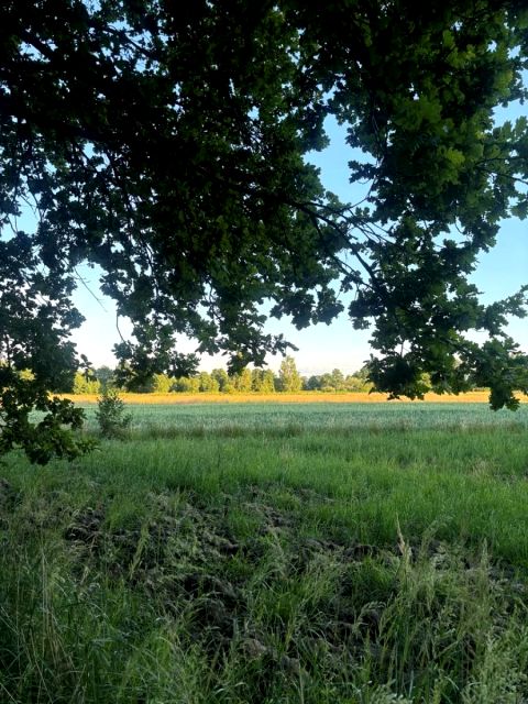 Działka Ochaby Wielkie