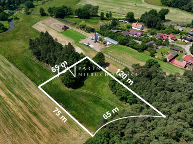 Działka inwestycyjna Rudy