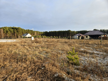 Działka Kołaczkowo