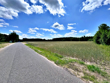 Działka budowlana Graby