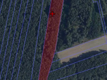 Działka leśna Podnieśno