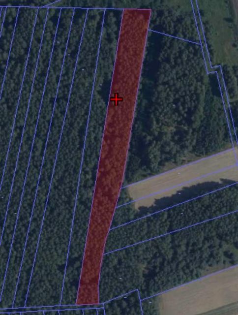 Działka leśna Podnieśno