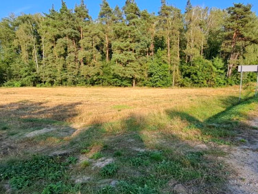 Działka budowlano-rolna Wiechetki Małe