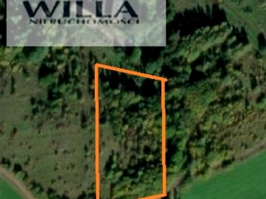 Działka rolna Grzmiąca