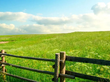 Działka budowlana Rączna sprzedam