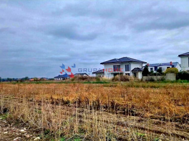 Działka Falenty Nowe