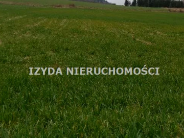 Działka budowlana sprzedam