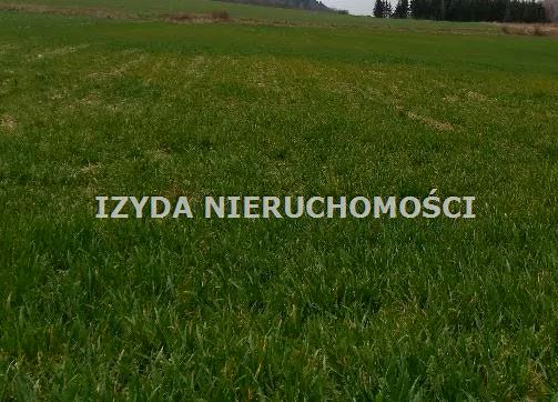 Działka budowlana sprzedam