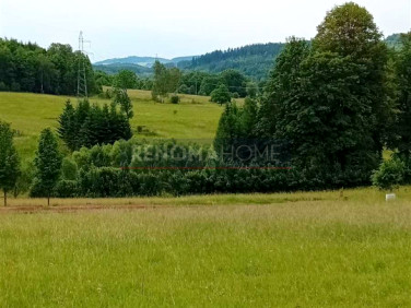 Działka budowlana Głuszyca