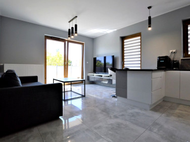 Mieszkanie apartamentowiec wynajem