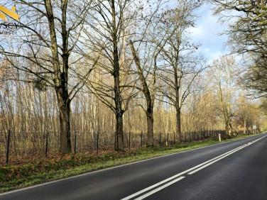 Działka budowlana Dawidy