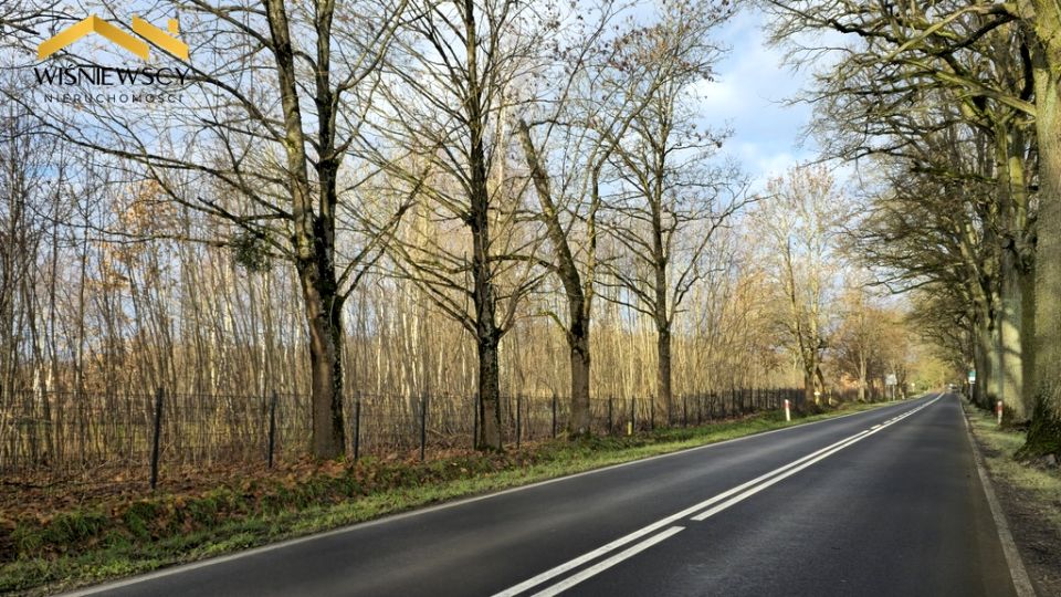 Działka budowlana Dawidy