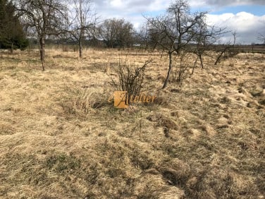 Działka usługowa Mikołów