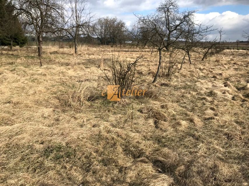 Działka usługowa Mikołów