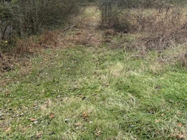 Działka budowlana Kiełpin Poduchowny