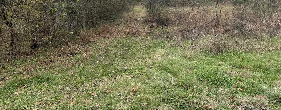 Działka budowlana Kiełpin Poduchowny