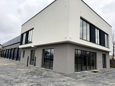 Lokal Rzeszów wynajem