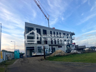 Lokal Kosakowo wynajem