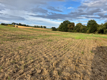 Działka rolna Wilczyn