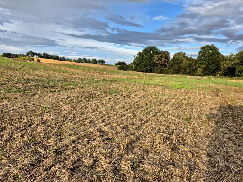 Działka rolna Wilczyn