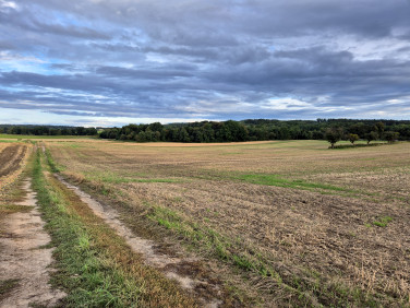 Działka rolna sprzedam