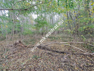 Działka budowlana Wyględy