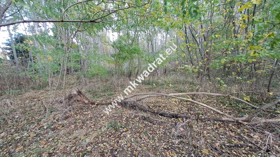 Działka budowlana Wyględy