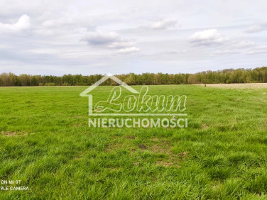 Działka NIEDŹWIEDŹ