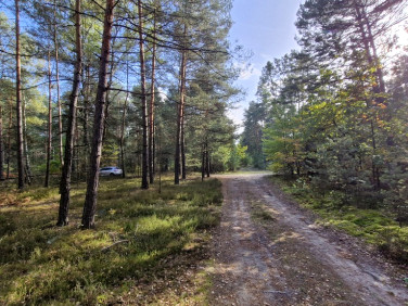 Działka rekreacyjna Osiedle Wilga