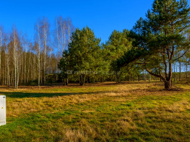 Działka budowlana Suliszew