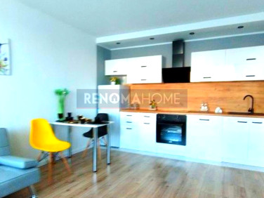 Mieszkanie Zielona Góra