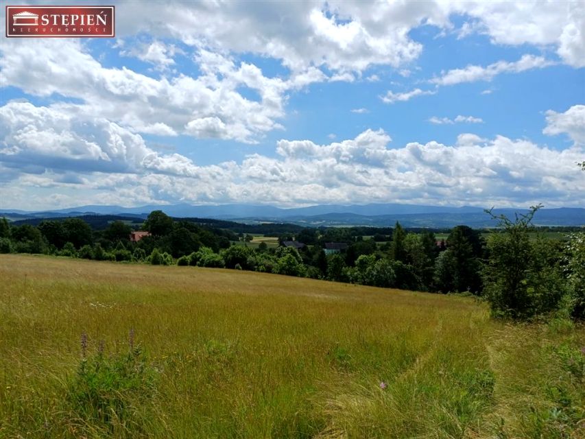 Działka budowlana Pasiecznik