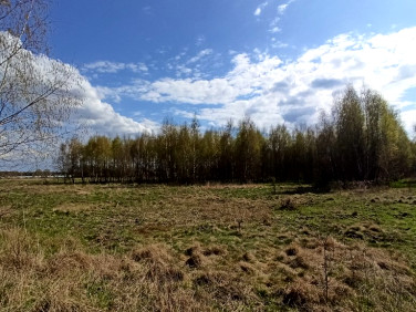 Działka rolna Mazewo Dworskie"A"