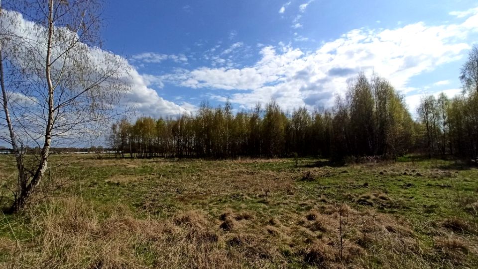 Działka rolna Mazewo Dworskie"A"