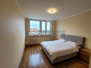 Mieszkanie Legnica sprzedaż