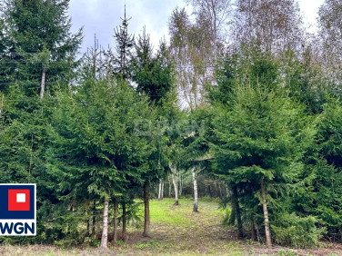 Działka budowlana Pustków