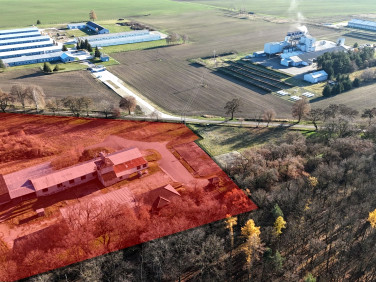 Budynek użytkowy Margońska Wieś sprzedaż