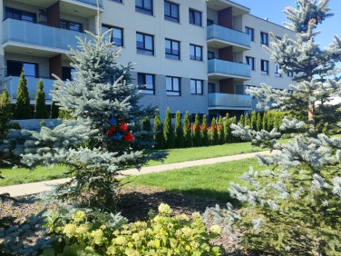 Mieszkanie Stara Iwiczna