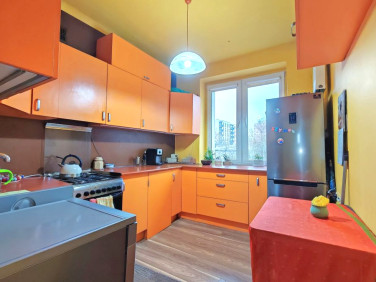 Mieszkanie przy lesie