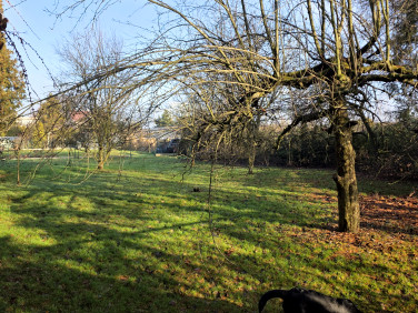 Działka budowlana Pszczyna